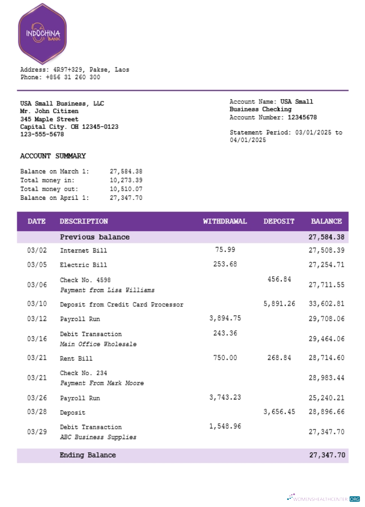 Download Laos Indochina business account statement Word and PDF template (1) Photoshop template